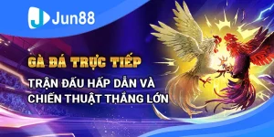 ga-da-truc-tiep-tran-dau-hap-dan-va-chien-thuat-thang-lon