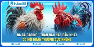 Đá gà casino - Trận đấu hấp dẫn nhất, cơ hội nhận thưởng cực khủng